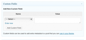 customfields Custom Fields Box